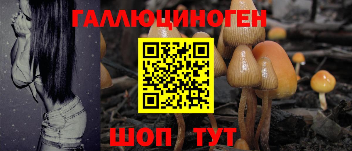 Батайск  Псилоцибиновые грибы MAGIC MUSHROOMS  Вход с VPN 